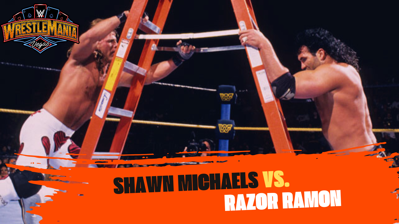 Top 10 WrestleMania Matches of All Time