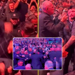 5 Facts on the Dillon Danis UFC 322 Incident & Fan Clash