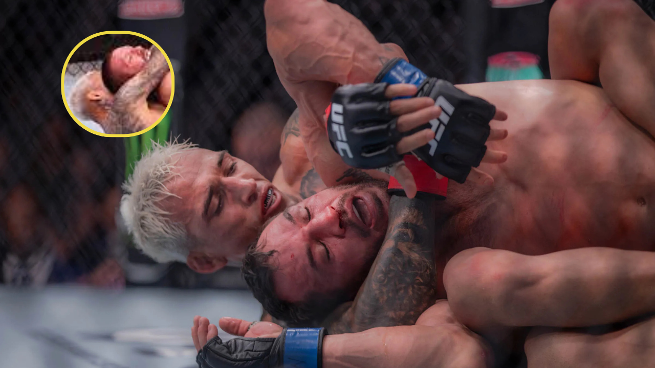 History of UFC: How It Became the World’s Biggest MMA Promotion